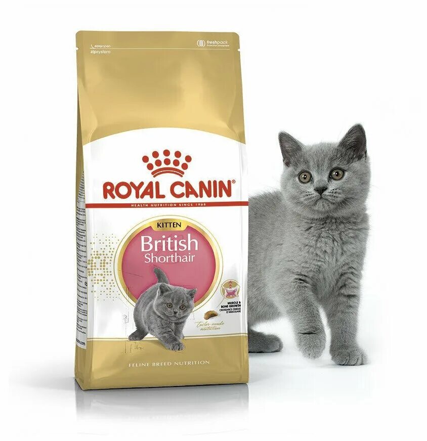 Роял канин британская короткошерстная соус. Роял канин для кошек британской породы 2кг. Royal canin british shorthair 10 кг. Роял канин. Royal canin для котят британцев.