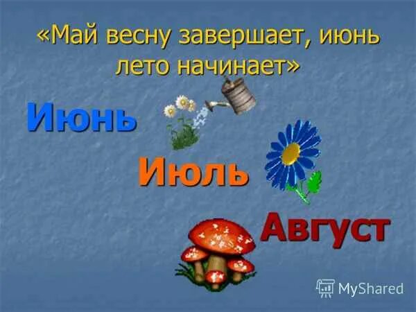Летняя пора. отгадываем кроссворды" Игротека 2023, Волоколамский район - дата и 