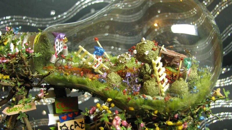Wonder garden. Wonder garden