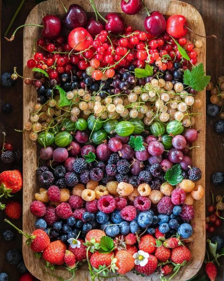 Лето время фруктов. Фрукты и ягоды. Летние фрукты. Лето ягоды. Разноцветные фрукты.