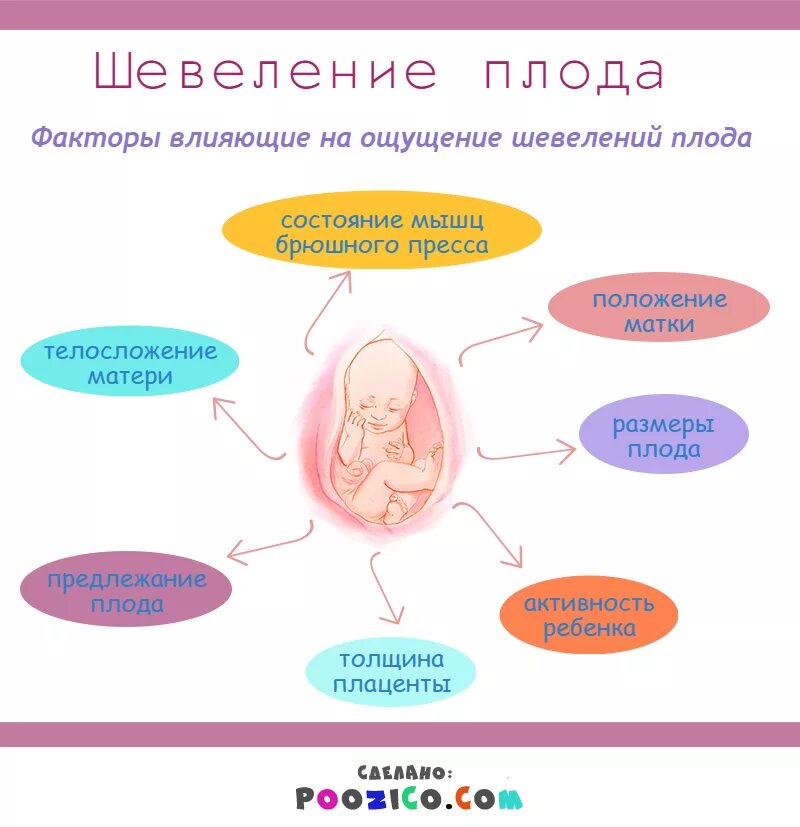 Когда почувствую шевеление ребенка форум. Когда почувствую шевеление ребенка форум