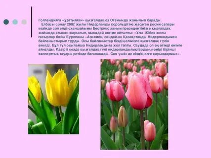 Анорексиялық лесбияндардың порно видеолары