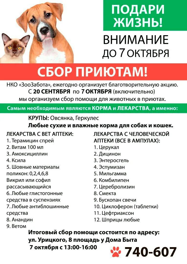Акция помощь животным. Приют для бездомных собак в москве. Акция помощь бездомным животным. Номер приюта для животных. Приют для собак в твери.