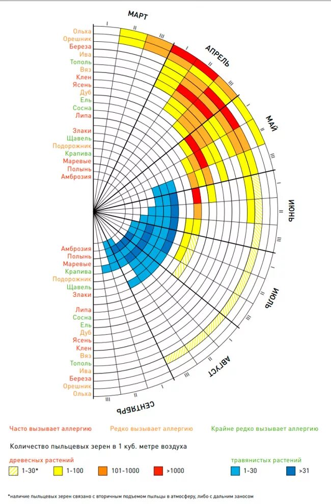 Календарь цветения растений средней полосы России. Календарь пыления и цветения. Календарь цветения для аллергиков. График цветения для аллергиков. Когда начинается цветение березы