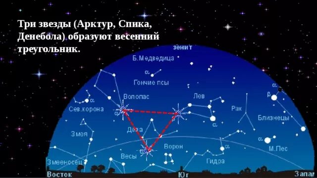 Арктур звезда в созвездии. Звезда Арктур на карте звездного неба. Арктур Волопас. Арктур в созвездии Волопаса. Какая звезда относится к какому созвездию