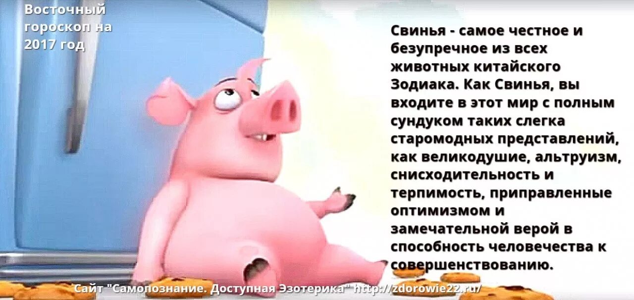 Год свиньи человек