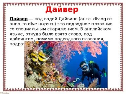 Предложение со словом дайвер