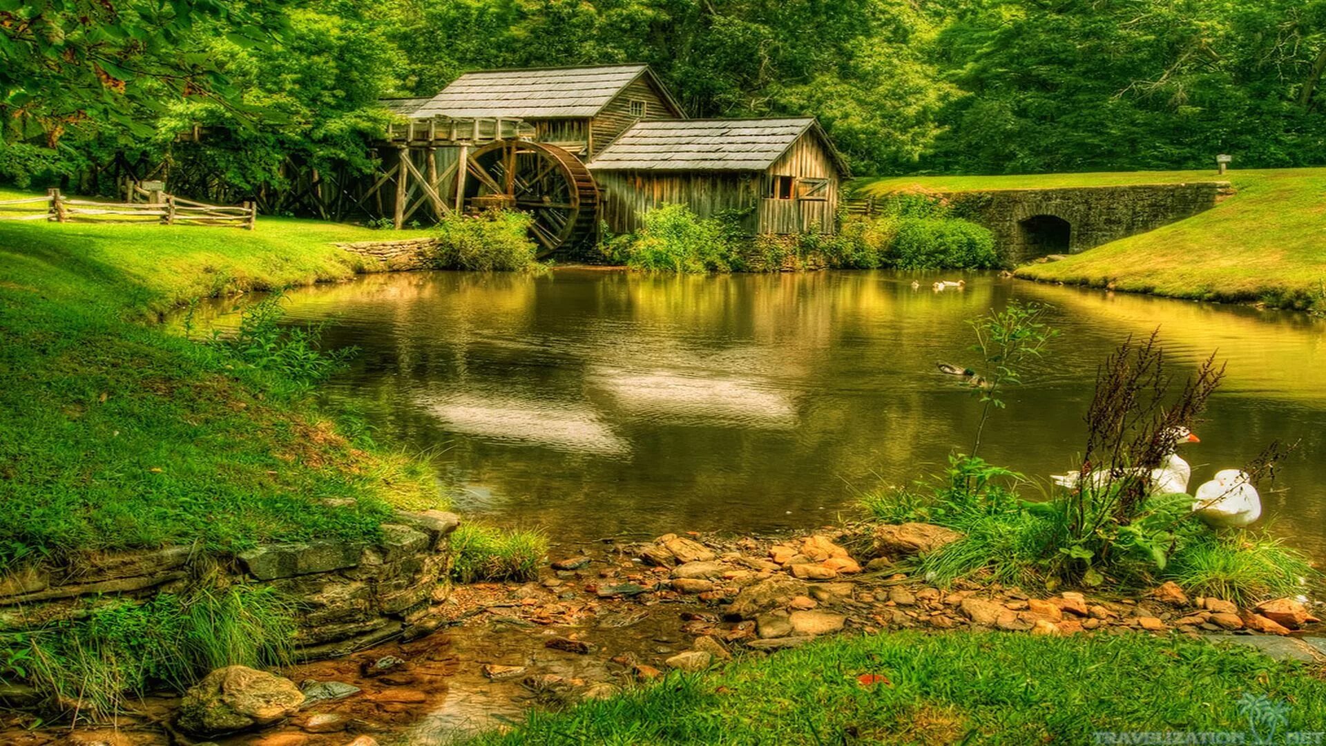 Красивые обои на пк. Natural scene. Фон на рабочий стол компьютера. Natural scene. Natural scene.