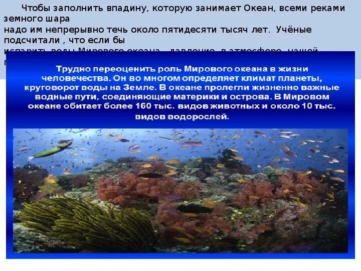 Мировой океан занимает. В Водах мирового океана преобладают. Давление воды в океане. В мировом океане преобладают что. Центральную часть океана занимает