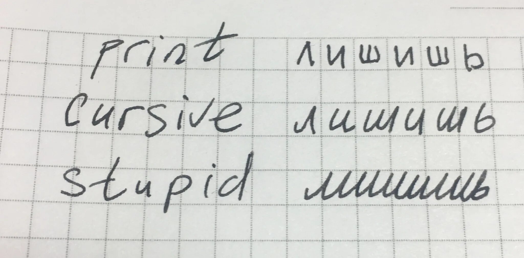 Русский почерк для иностранцев. Русские прописи для иностранцев. Шиншилла Russian Cursive. Русский курсив. Шиншилла слово