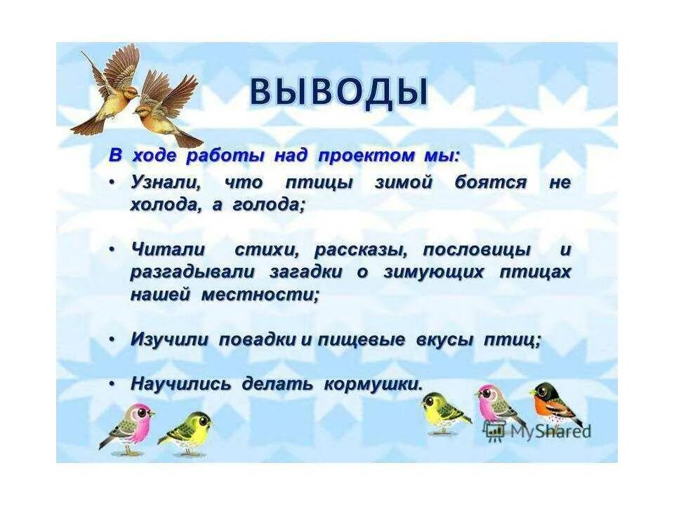 Проект зимующие птицы нашего края 2 класс Информационно-исследовательская работа "Зимующие птицы нашего края" начальные