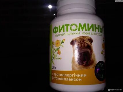 Что дать собаке от аллергии