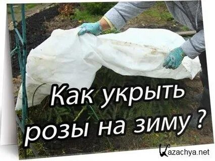 Как укрыть без матов