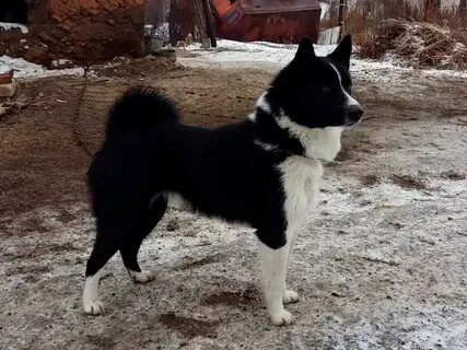З рел