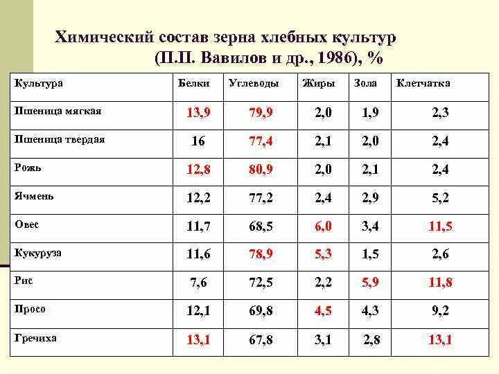 Ячмень состав. Химический состав зерновых культур таблица. Химический состав зерна пшеницы таблица. Химический состав зерна белки жиры углеводы. Химический состав зерна хлебных культур.