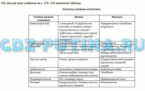 Строение и функции систем органов человека таблица