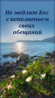 Отдых летом черное море