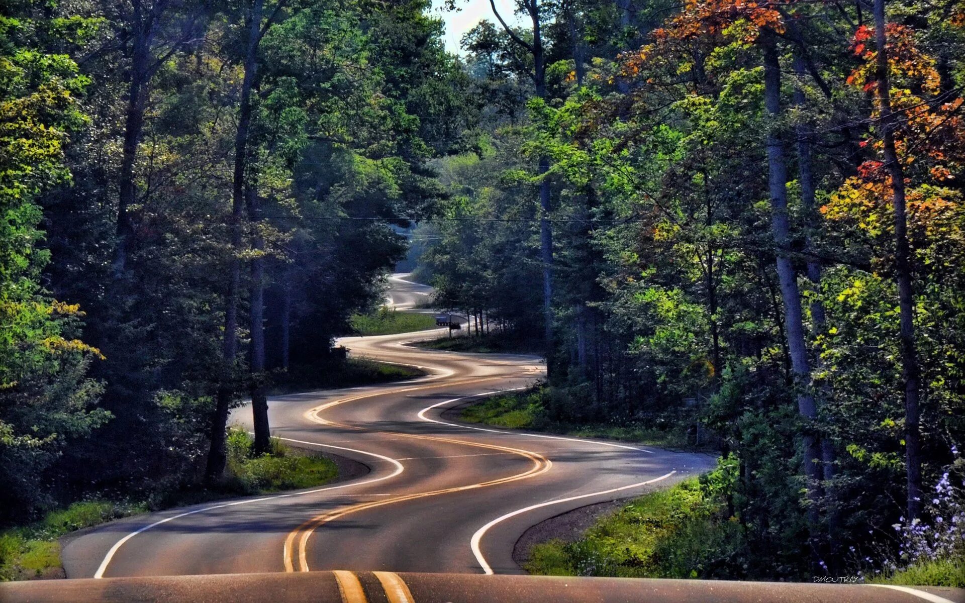 Дорога ведет в лес. Красивые дороги. Пейзаж с дорогой. Красивая дорога. Природа дорога.
