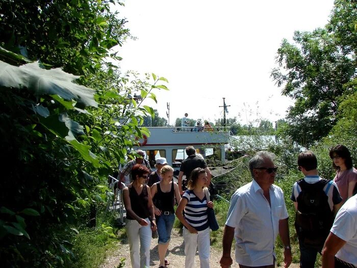 Погода в тините. Село Тинит. Погода в Тините на неделю. Погода в селе Тинит.