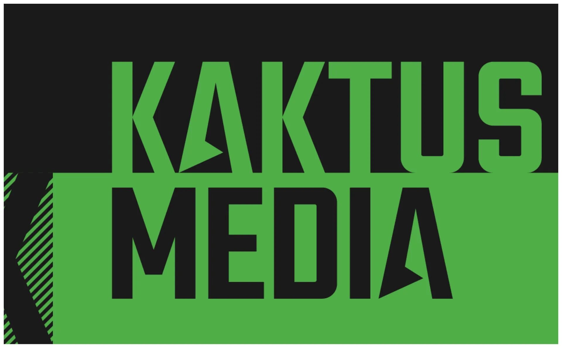 Статья кактус медиа. Кактус медиа. кактус медиа лого. журналисты кактус медиа. институт медиа полиси.