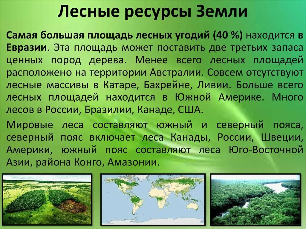 Какими лесными ресурсами богата россия. Лесные ресурсы это кратко. Природные ресурсы леса. Примеры лесных ресурсов. Презентация на тему Лесные ресурсы.