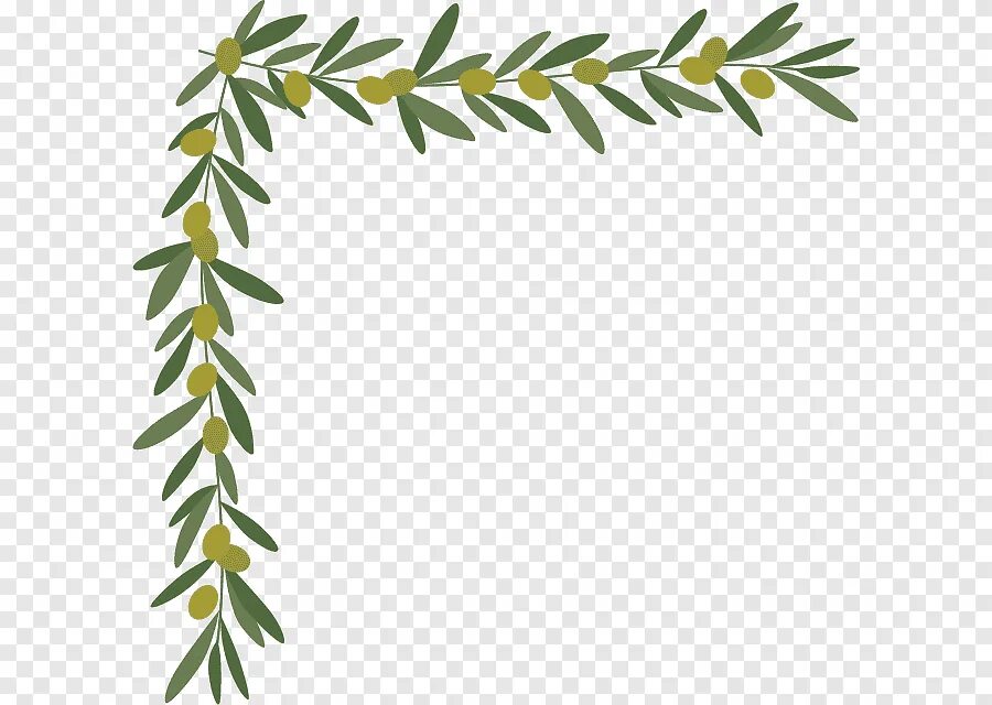 Border leaves