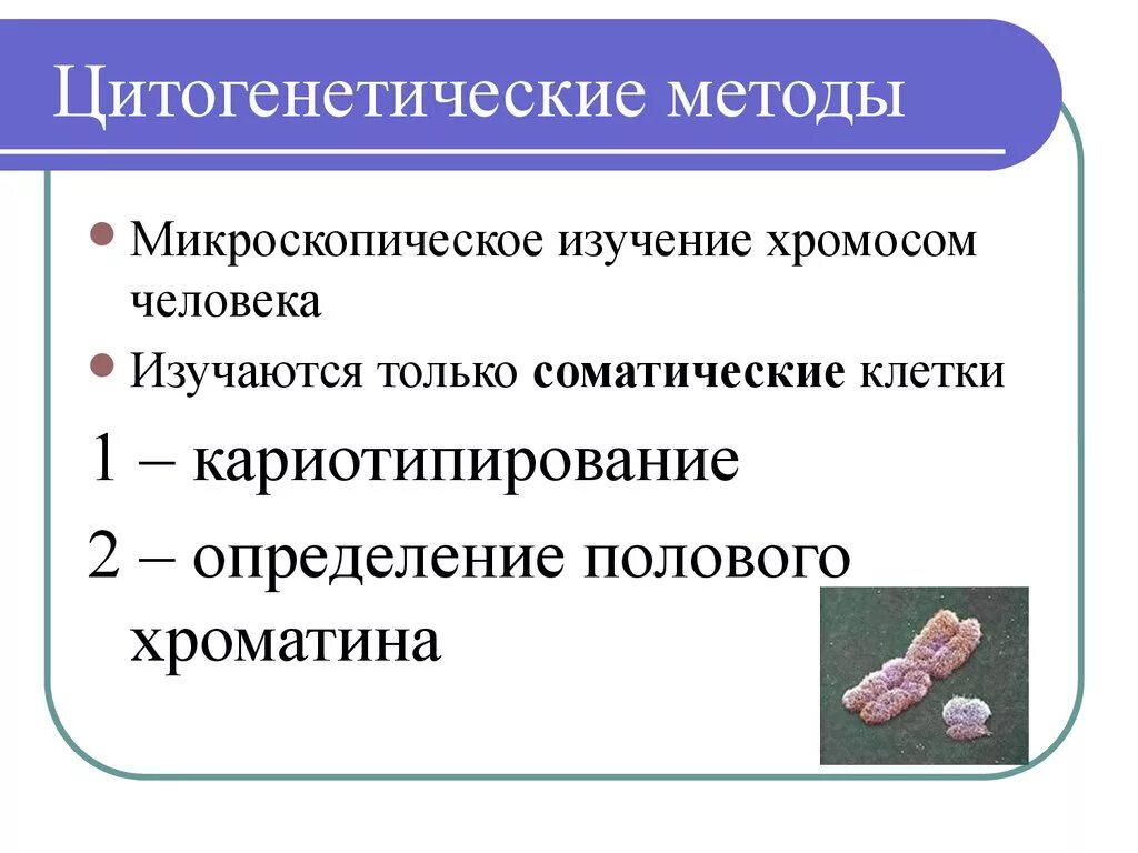 Какие методы используют для цитогенетического исследования. Цитогенетический метод изучения наследственности. Методы изучения хромосом. Цитогенетический метод изучения наследственности человека. Методы изучения хромосом человека.