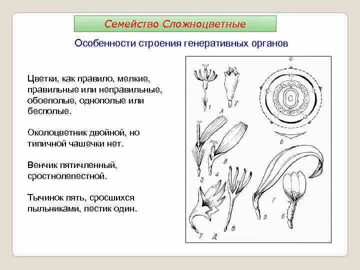 Как включить генеративную заливку