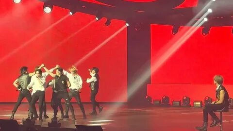 Stray kids everywhere all around