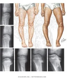 Владивостоктағы сексуалды қыздардың суреттері
