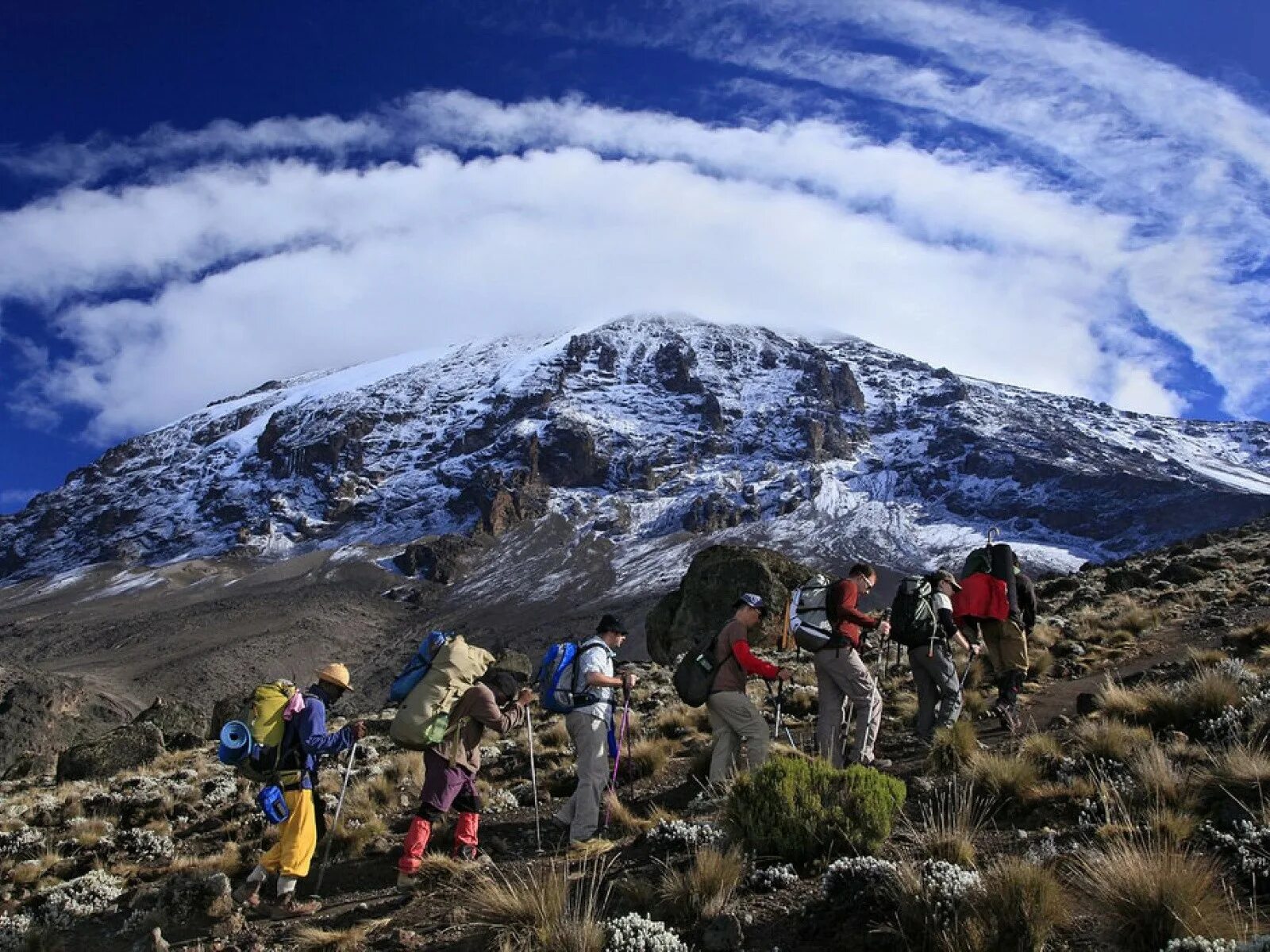 килиманджаро гора восхождение. килиманджаро восхождение высота. подняться на килиманджаро. подъем на килиманджаро. килиманджаро гора восхождение.