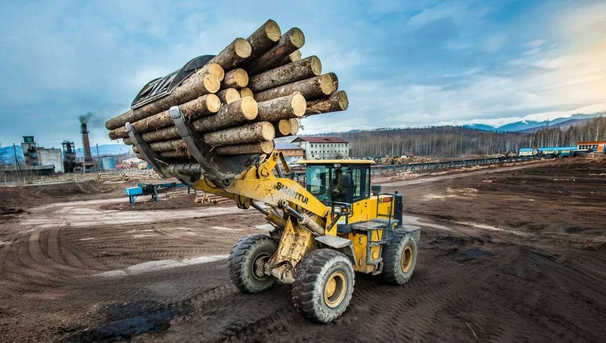 Лесная промышленность архангельской области. Приоритетные инвестиционные проекты в области освоения лесов. Инвестиционные проекты иркутской области. Реализация инвестиционного проекта. Лесные инвестиционные проекты.