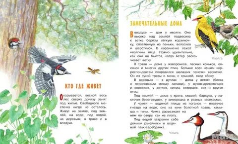 Лесные домишки текст