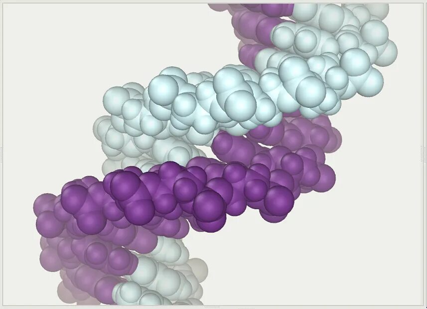 Биополимеры белки и полисахариды. Молекула ДНК биополимер. Изделия из биополимеров. Образование биополимеров. Рисунок биополимеров