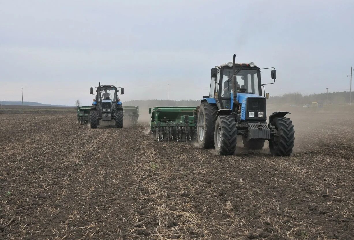 Сев озимых. Посевная озимых. Трактор посевная. Посевная озимых. Посев зерновых.