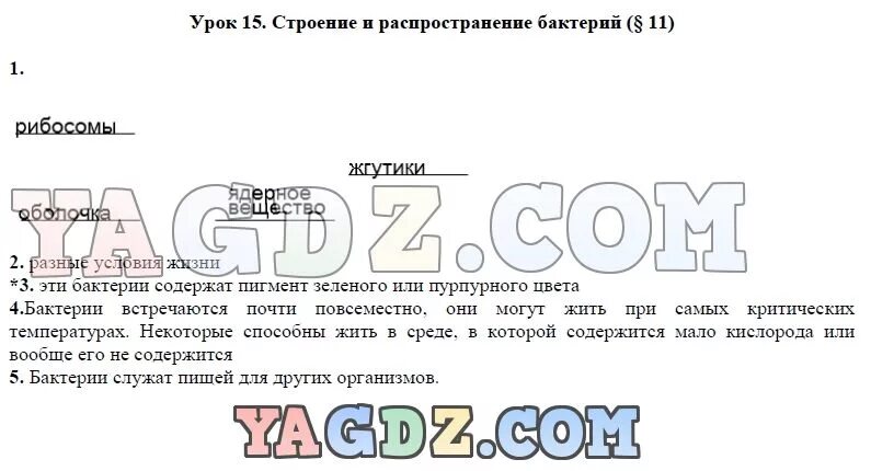 Биология 5 класс стр 133 вопросы ответы