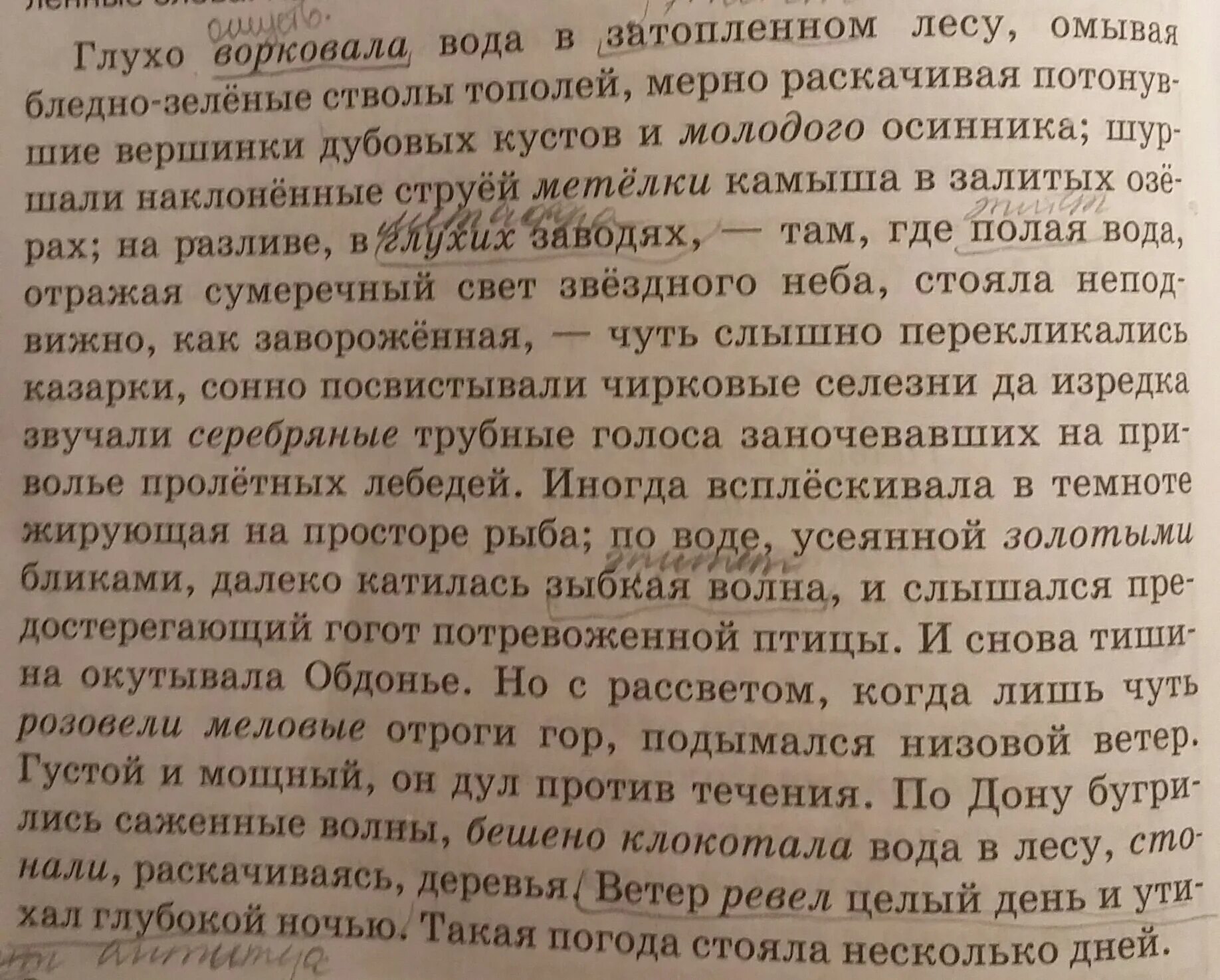 Глухо ворковала вода в затопленном лесу омывая бледно зеленые. Затопленный лес весной. Наводнение в лесу. Глухо ворковала вода в затопленном лесу микротемы. Половодье в лесу.