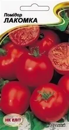 сорт лакомка. семена томат розамарин фунтовый. сорт лакомка. томат чёрная лакомка. клубника сорт лакомка.
