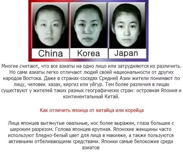 Китайцы японцы корейцы различия. Отличить китайца от японца. Внешность китайцев корейцев и японцев. Внешние различия китайцев японцев и корейцев. Отличие азиатов