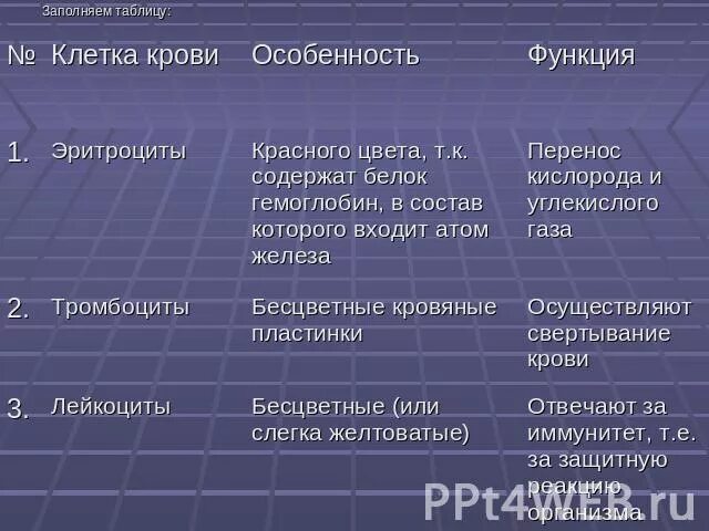 Функции клеток крови таблица. Кровь строение и функции таблица. Состав и функции крови таблица. Состав крови таблица. Строение и функции клеток крови таблица.