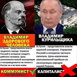 Программа кпрф на выборы 2024