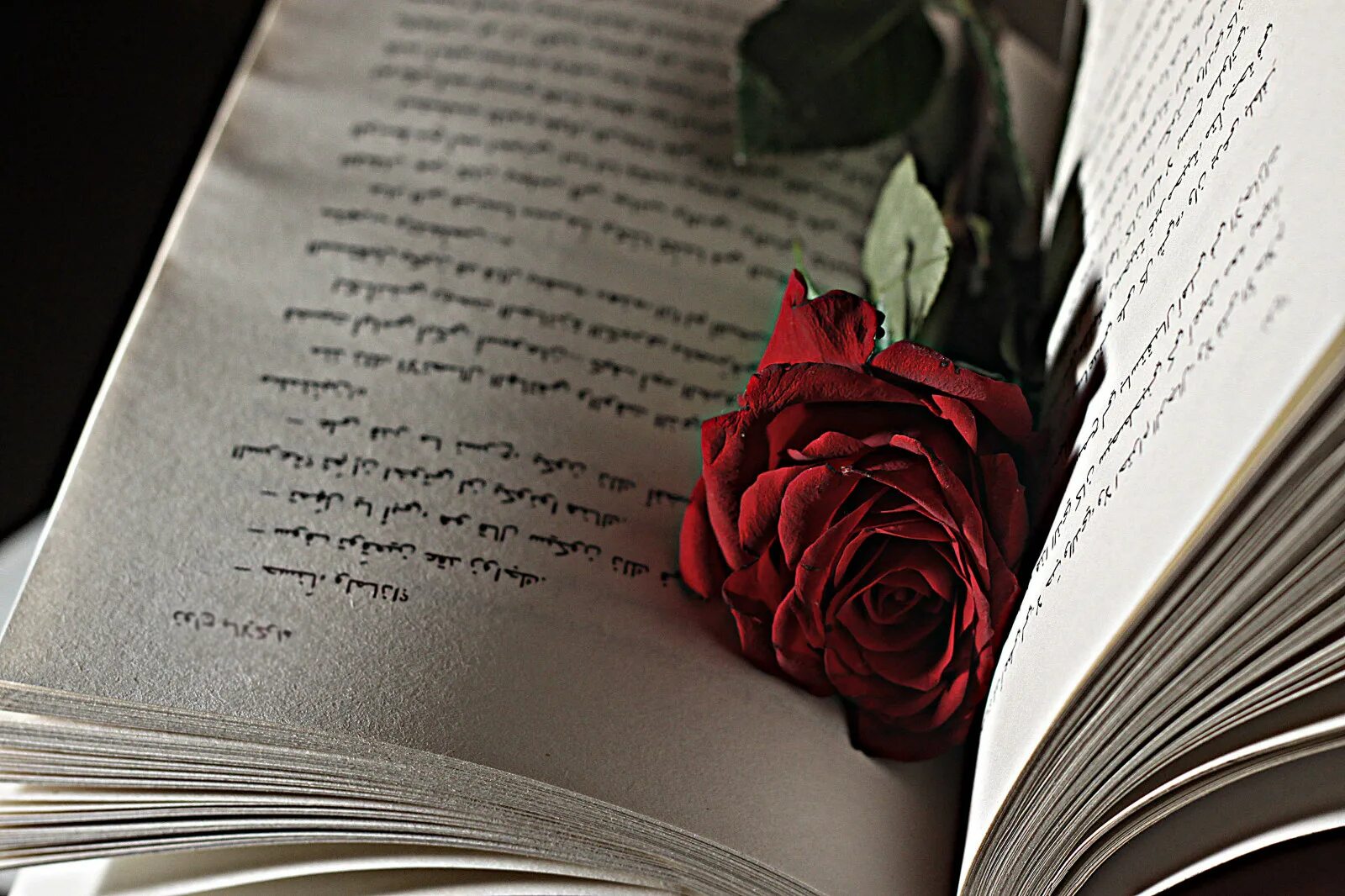 Поэзия картинки красивые. Книга на черном фоне. Книга стихов.