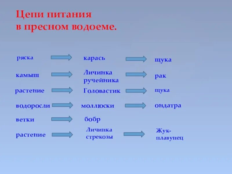 Схема цепей питания в сообществе водоема. Цепи питания в водоеме. пищевая цепочка водоема. цепь питания пресного водоема. схема цепей питания в водоеме.