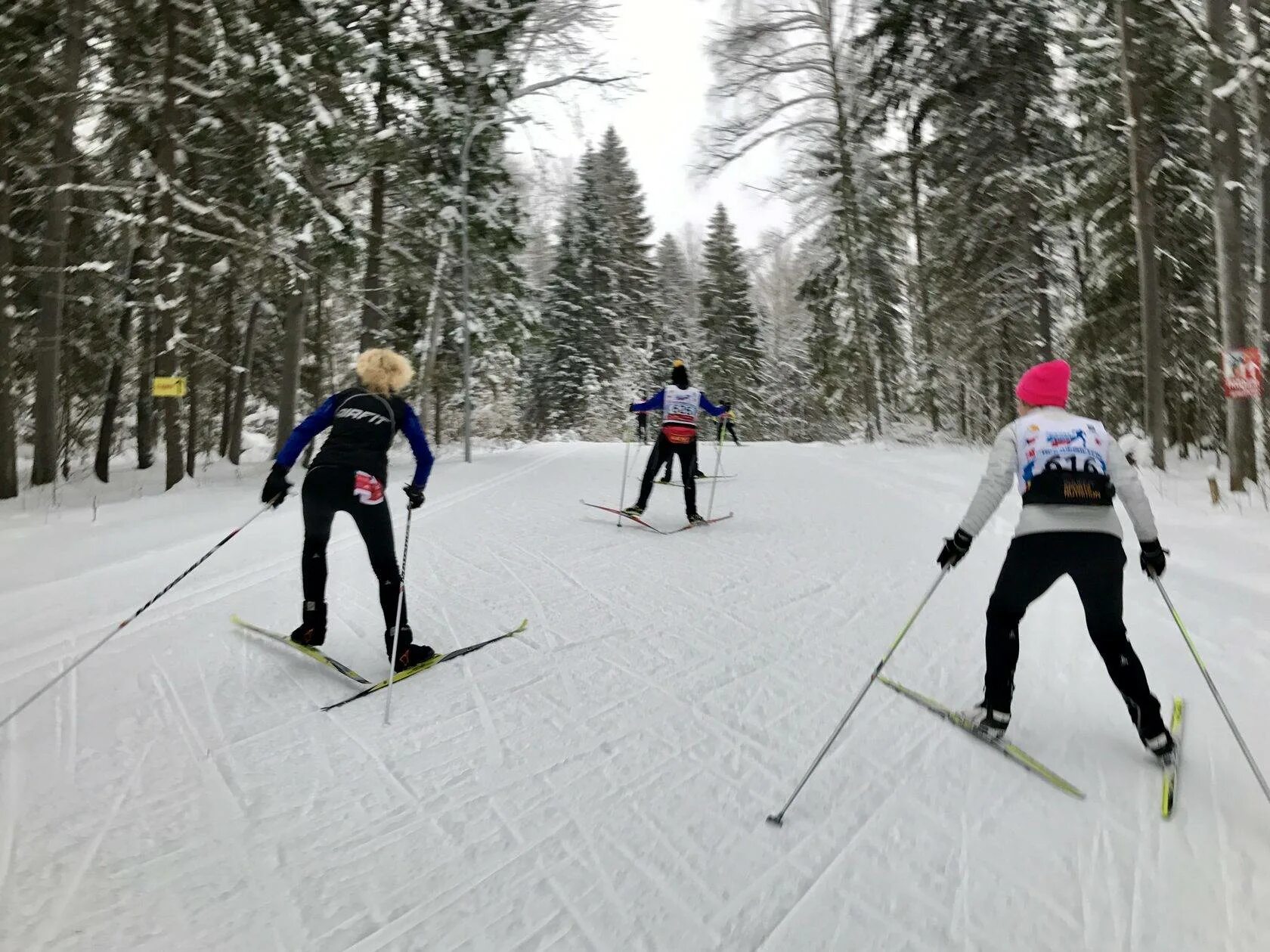 Лыжные занятия спортом