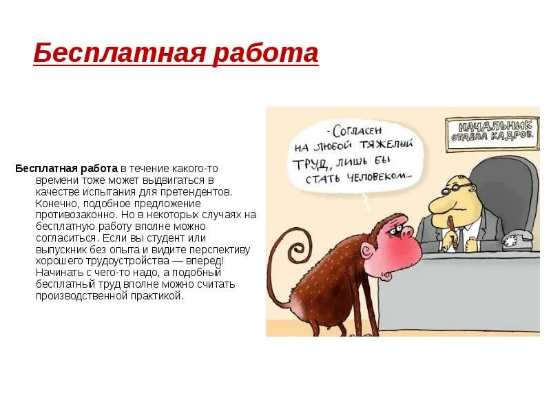 Начало любой работы 5. Take 2 office. Подработка. Веб разработка. Начало любой работы 5.