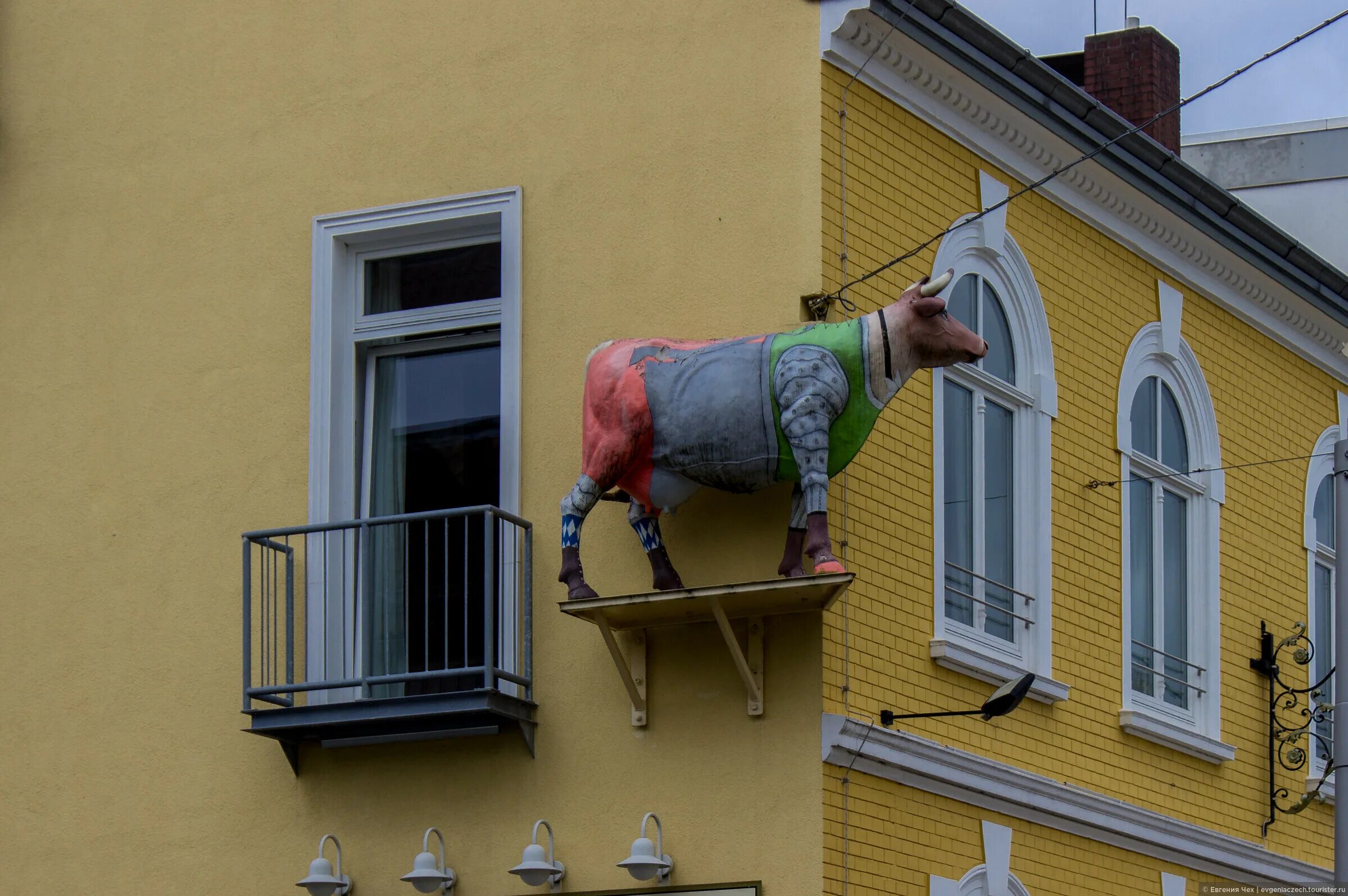 Корова на балконе - Picture of Hotel Adler Zürich, Zurich - Tripadvisor