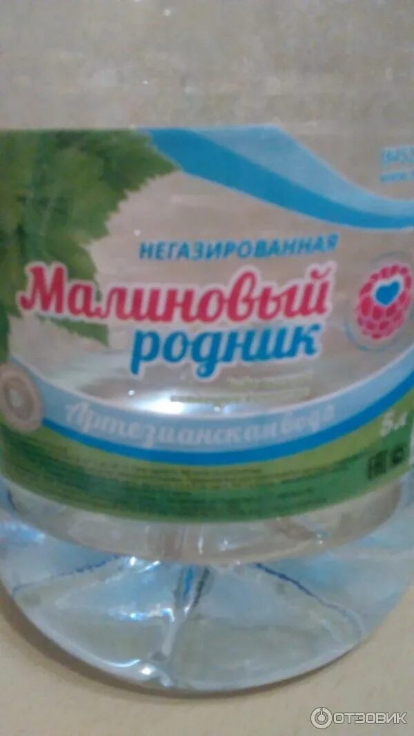 Родник малиновая вода. Родник в рассказе малиновая вода. Вода родник. Родник с питьевой водой. Лимонад калинов родник 1,5.