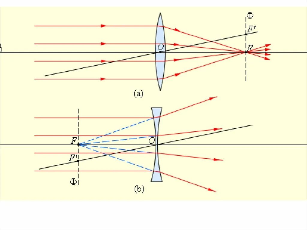 Рассеивающая линза в 2 фокусе. Оптика рассеивающая линза построение изображения. Оптика линзы физика построение изображения. Сферическая линза ход лучей. Собирающая линза в качестве лупы дает