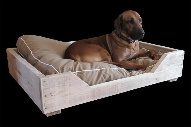 Собачья кровать для человека. Деревянные кроватки для собак. Кровать для животных из дерева. Приставная кровать для собак. Маленькая кровать для собаки из дерева.