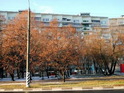 Домодедовская дом 1